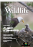 pennsylvania wildlife magazine issue