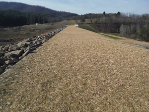 Colyer Lake Dam photo