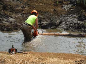 Halfmoon Creek Restoration