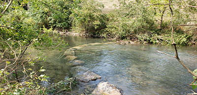 a photo of Spring Creek