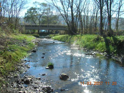 After:  The channel was brought into proper dimension by buildinng out the banks at floodplain level. This results in better sediment transport. (looking downstream)