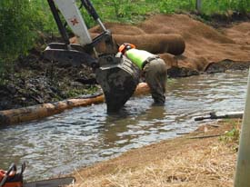 Halfmoon Creek Restoration