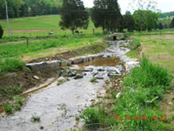 After:  Two rock vanes direct the stream flow towards the center of the channel and help to stop erosion of the banks. This helps prevent excess sediment from being deposited. (Looking upstream)
