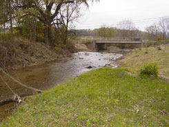Before:  The over-widened channel spanned the entire width of the bridge, casuing the sediment to drop out due to a decrease in flow velocity. (looking upstream)