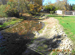 After:  The channel was consolidated and narrowed with bankfull benches; the new banks were then protected with rock and log structures. Riparian plantings will protect band and enhance wildlife habitat.