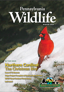 picture of the cover of the Pennsylvania Wildlife Magazine Winter 2023 issue