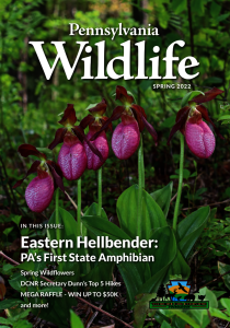 picture of the Pennsylvania Wildlife Magazine Spring 2022 issue