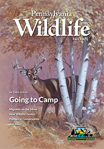 picture of the Pennsylvania Wildlife Magazine from the fall of 2017