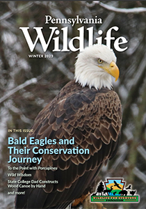 Picture of the Winter 2023 Wildlife Magazine with a bald eagle