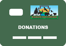Donations