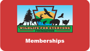 Memberships