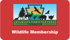 Wildlife Membership
