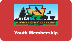 Youth Membership