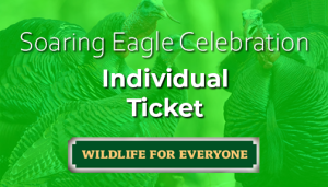 Individual Ticket for the Spring Celebration