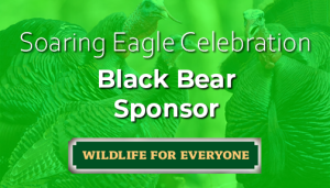Black Bear Sponsor for the Spring Celebration