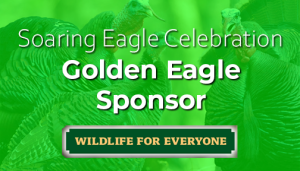 Golden Eagle Sponsor for the Spring Celebration